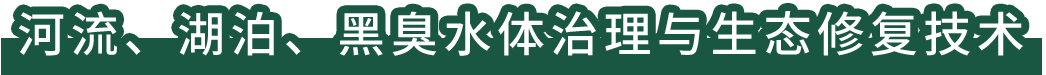 河流、湖泊、黑臭水體治理與生態(tài)修復(fù)技術(shù)